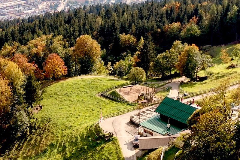 Die Arzler Alm inmitten von grünen Wiesen und Wald aus der Vogelperspektive.